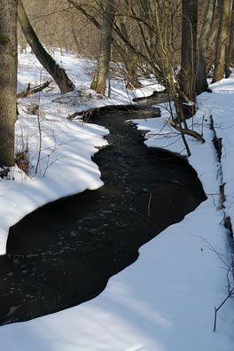 Šárecký potok