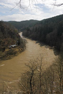 Sázava u Luk pod Medníkem