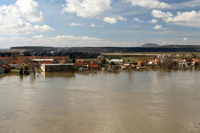 Dolní Beřkovice, rozvodněné Labe