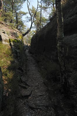 cestička ve skále