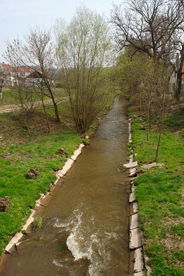 Bakovský potok v Sazené
