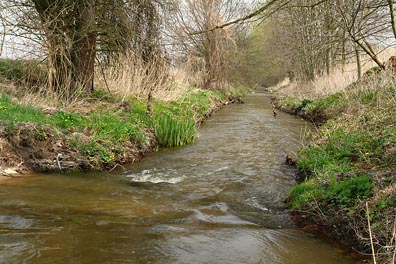Bakovský potok pod Sazenou