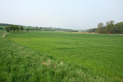 údolí Košáteckého potoka nad Byšicema