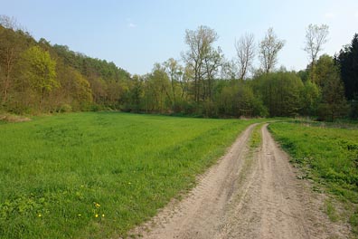 údolí Strenického potoka nad Krnskem