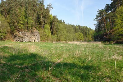 Údolí Skalského potoka