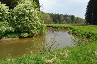 Ploučnice pod Hradčanama