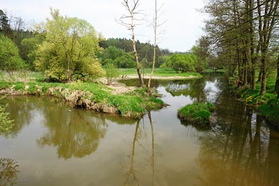 Ploučnice, slepé rameno u Heřmaniček