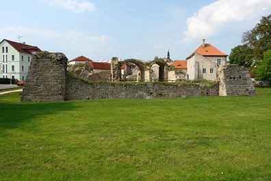 zřícenina hradu v České Lípě