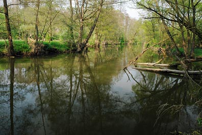 Ploučnice u Mlýnského vrchu