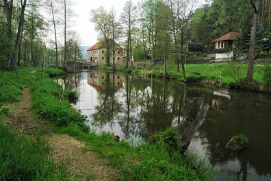 Ploučnice u Mlýnského vrchu