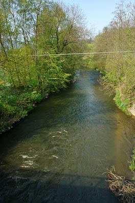 Ploučnice u Malého Šachova