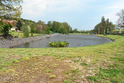 rybníček v Jarpicích