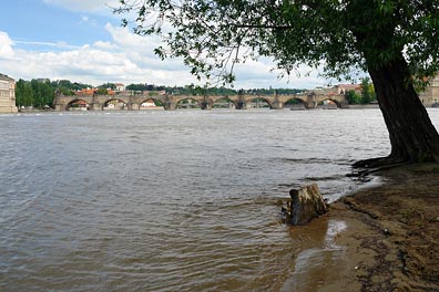 Karlův most ze Střeleckého ostrova