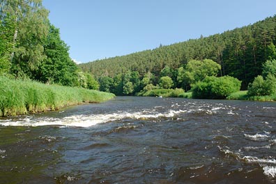 Vltava pod Zlatou Korunou