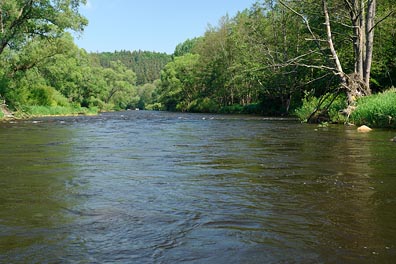 Vltava pod Zlatou Korunou