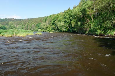 Vltava pod Zlatou Korunou