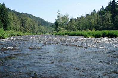 Vltava nad Boršovem n. V.