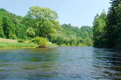 Vltava nad Boršovem n. V.