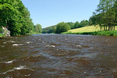 Vltava nad Boršovem n. V.