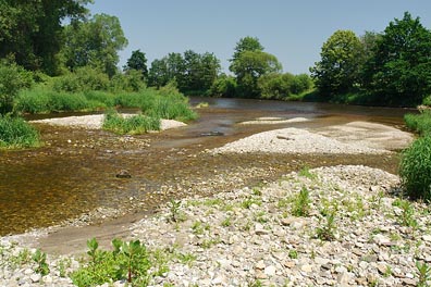 Vltava nad Českými Budějovicemi