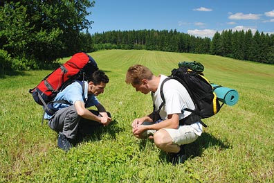 turisti na louce