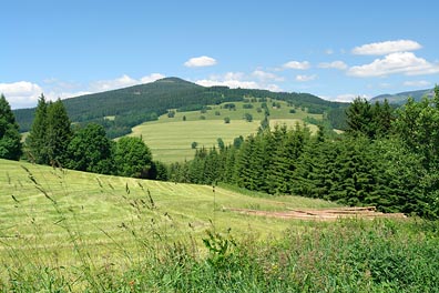 pohled na Jelení vrch