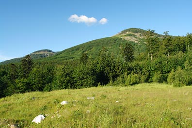 Uhlisko, Podbělka