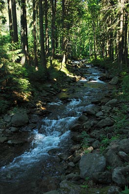 Morava pod Viléminkou