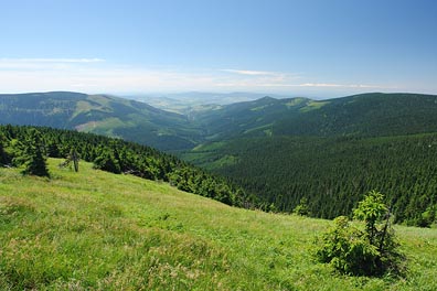 pohled na údolí Moravy