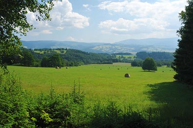 krajina u Hynčic pod Sušinou, louka