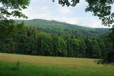 krajina u Zadního Alojzova