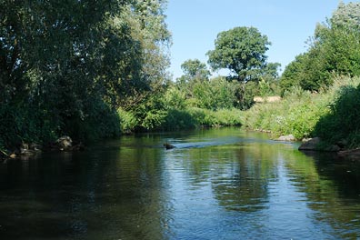 Bílina nad Rtyní nad Bílinou