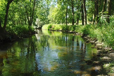 Bílina pod Stadicema