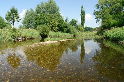 Ohře pod jezem u Jindřichova