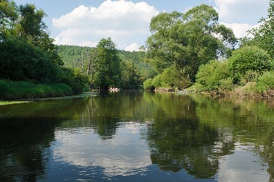 Ohře pod Kynšperkem