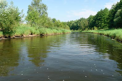 Ohře nad Sokolovem