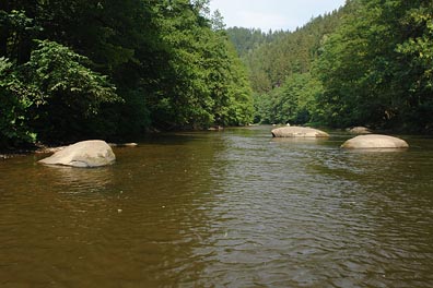 Ohře pod Svatošskýma skalama