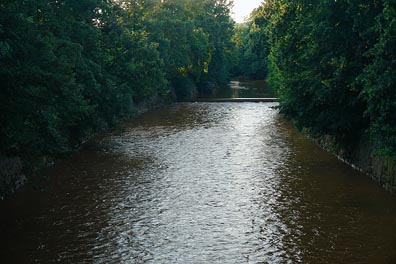 Labe, jez ve Dvoře Králové