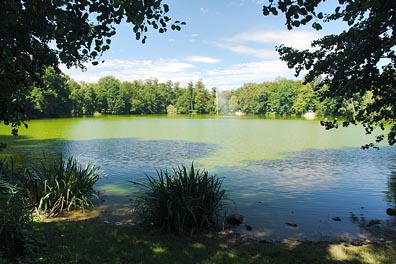 zámecký park, rybník v Teplicích