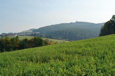 kopec s rozhlednou Drahoušek u Osečan