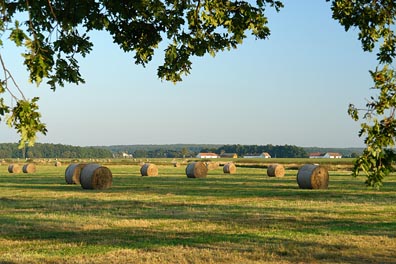 balíky na louce u Křenovic