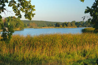 rybník u Čakova
