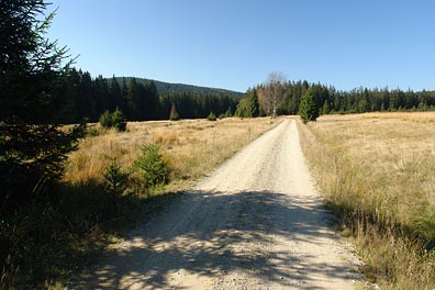 krajina u Žďárecké hory, cesta