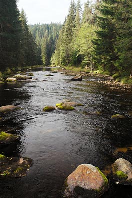 Křemelná