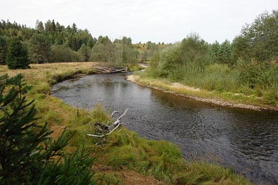 Křemelná