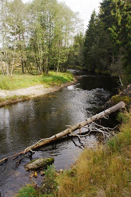 Křemelná