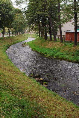 Úhlava v Nýrsku