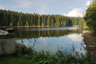 přehrada u Mariánských lázní