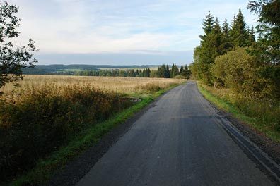 silnice ve Slavkovskem lese