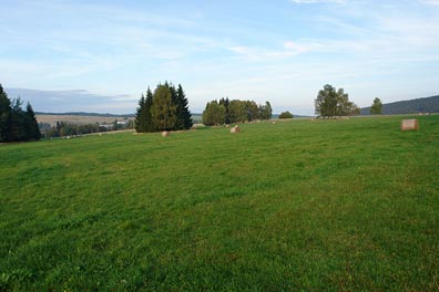 krajina ve Slavkovském lese